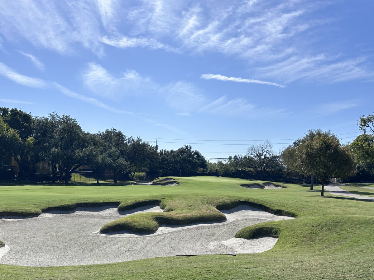 Rick Golfs tweet media