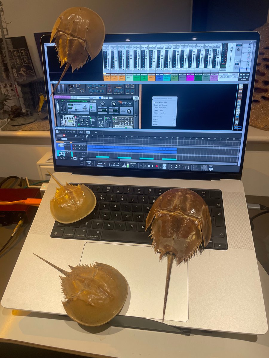 Iglꙩꙩghost (@iglooghost) on Twitter photo 