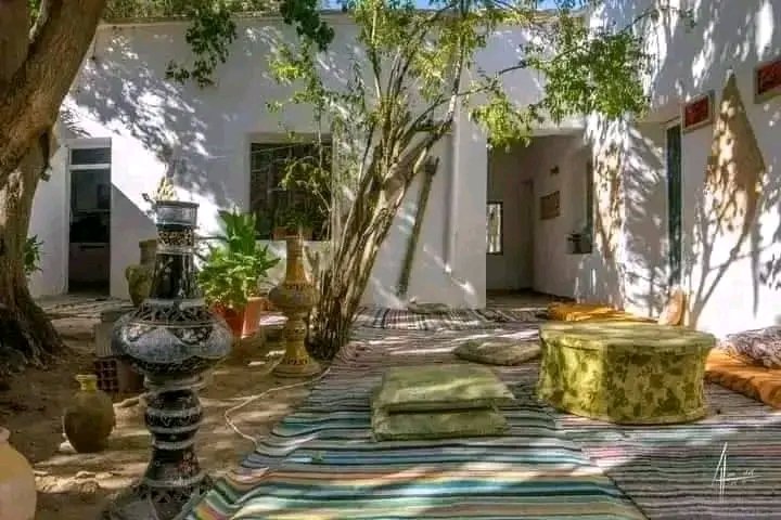 🇩🇿 tweet media