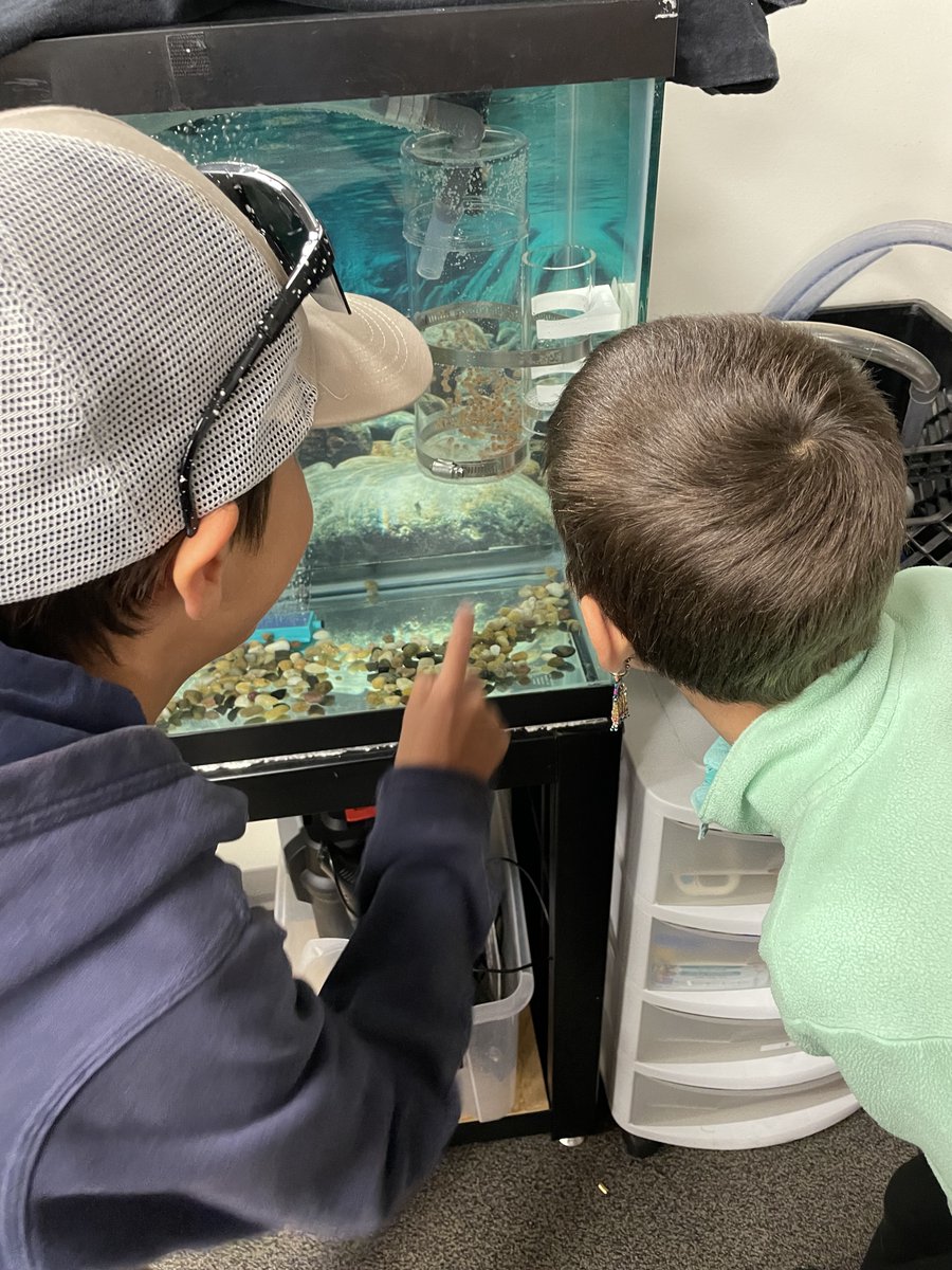 Sarah L Wegert 😎 tweet media