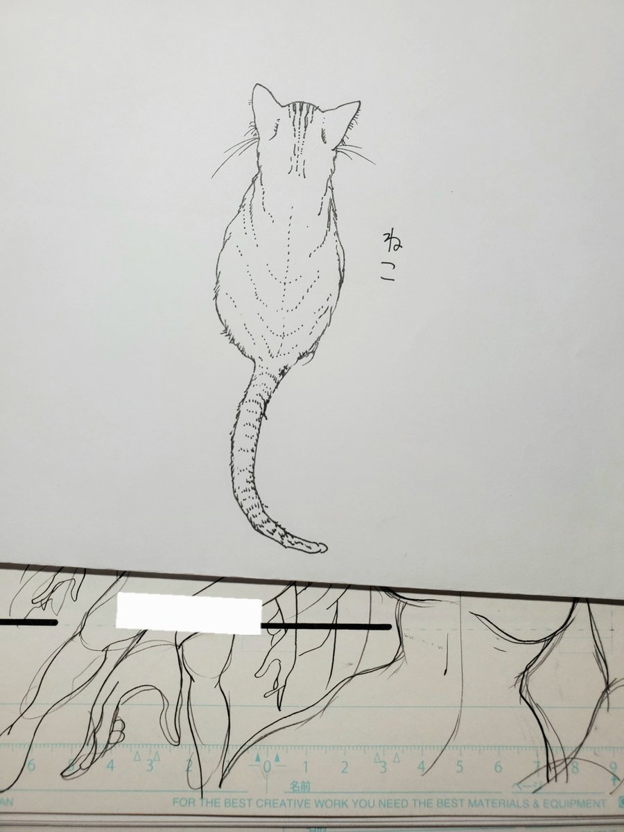人物ペン入れ12枚
今日はここまで(>_<)
オヤスミナサイ 