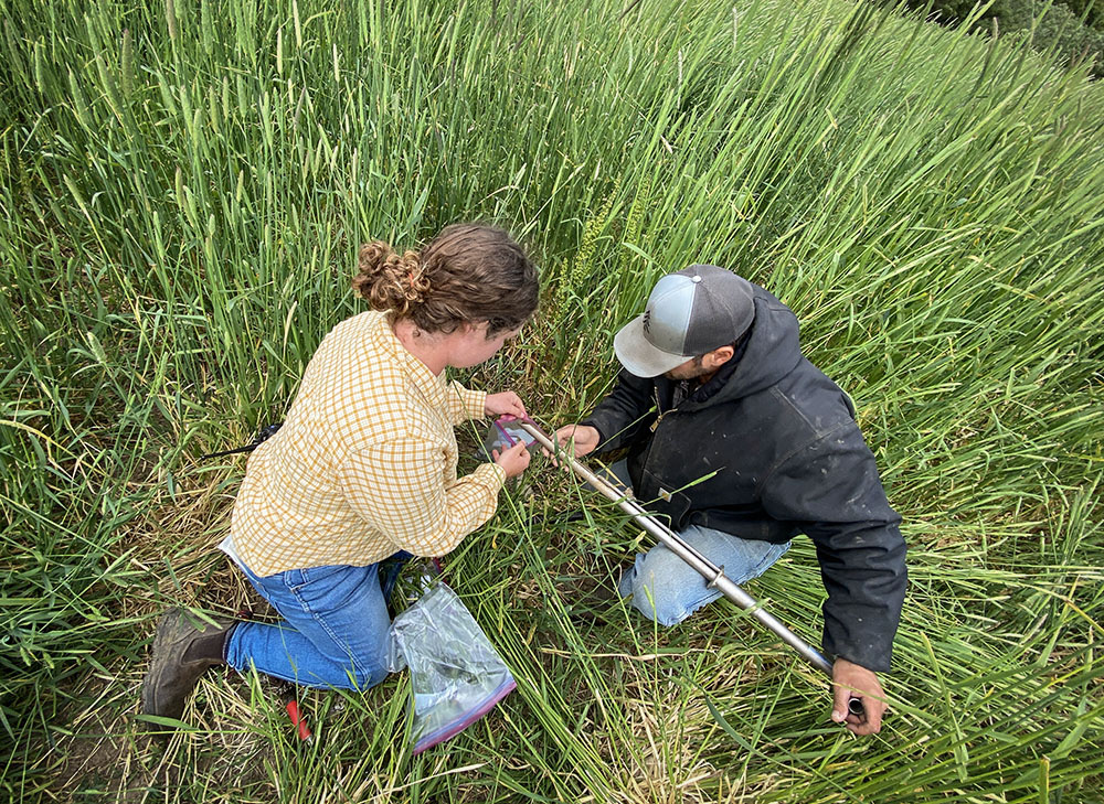 TomKat Ranch Educational Foundation tweet media