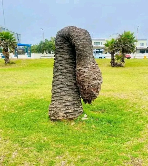 Fernandoelsexo's tweet photo. El 80% de los HOMBRES ya han tenido una disfunción eréctil...

DESCUBRE CÓMO OBTENER UNA ERECCIÓN A VOLUNTAD EN TODAS LAS SITUACIONES (INCLUSO LAS MÁS ESTRESANTES)

🧵 HILO 🧵 https://t.co/qiLcaZDno4