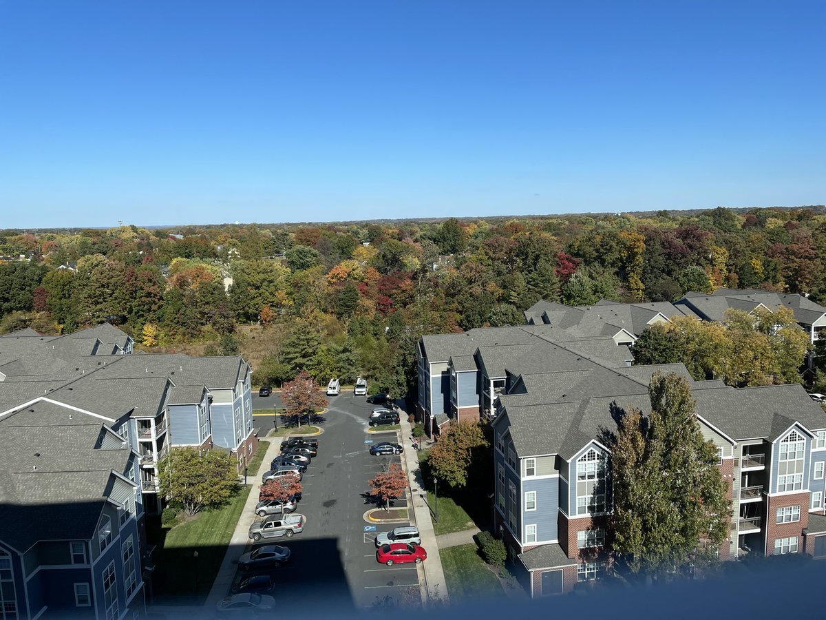 John Munster tweet media