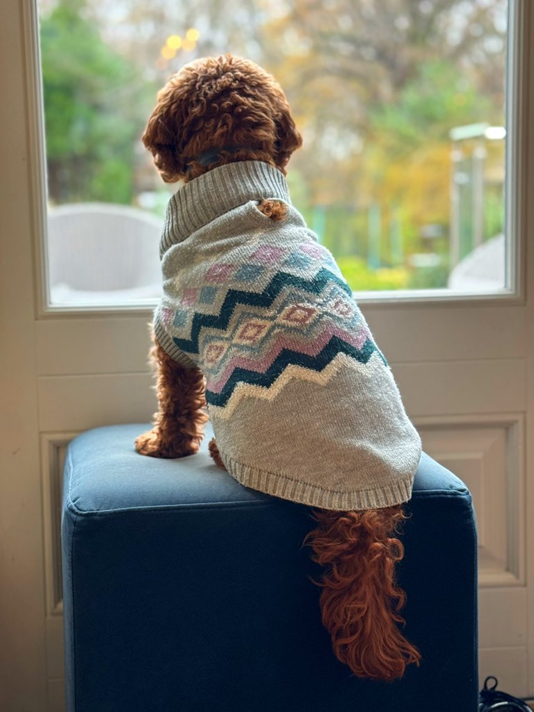 When is it acceptable to crack out the Christmas jumpers?