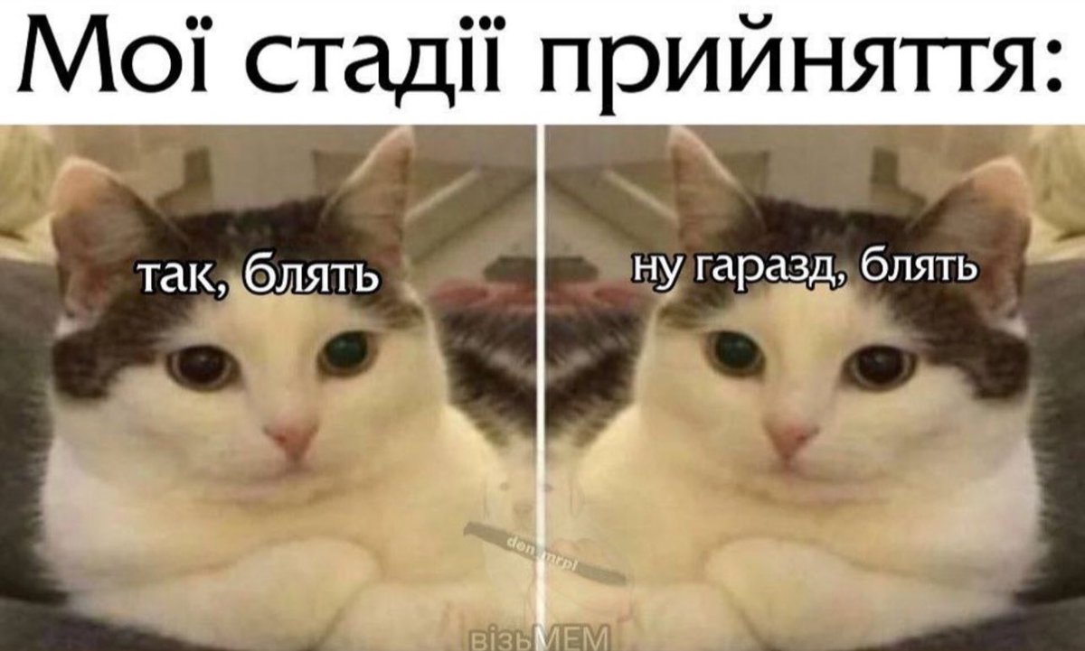 natawka_panina's tweet photo. https://t.co/09bEChxbj4