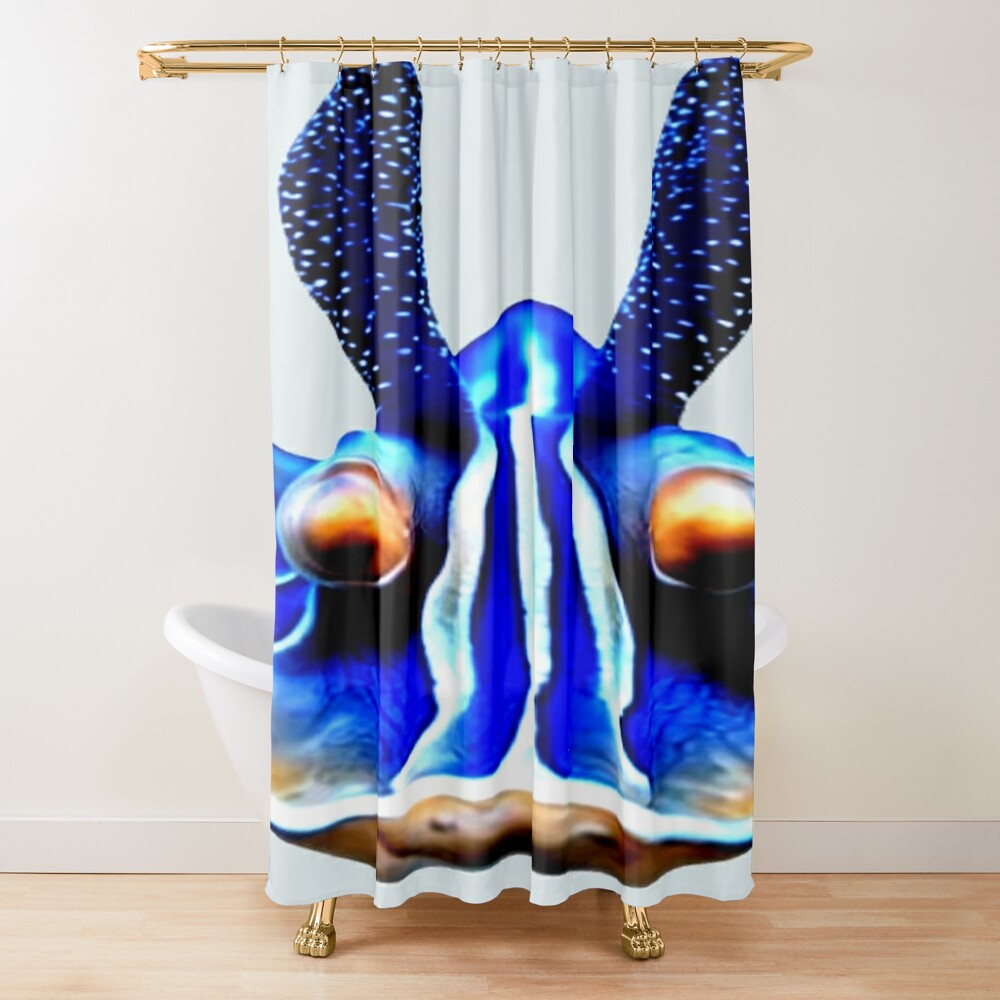 27thcentury's tweet photo. Shower curtain design at https://t.co/ySNH807jJ8 #boomchallenge #CURTAIN_CALL #showercurtain #homedecoration #homedecor #art #xart #digitalart #deepsea #ocean #marielife #sealife #RedBubbles #redbubble #redbubbleshop #redbubblestore #redbubblehelp #redbubbleartist #artworks https://t.co/f69vba7ZG7