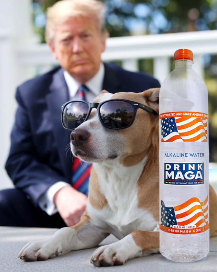 drink_maga's tweet photo. Man’s best friend deserves the best water too!  Stay hydrated with #MAGA Water.

Every bottle supports the Trump 2024 campaign. https://t.co/yMgZdW8NUj #SupportAmerica https://t.co/BnSYB88oZI