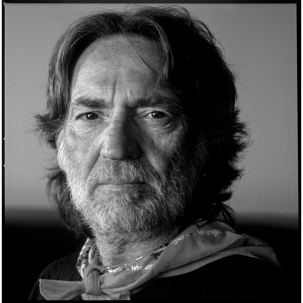 PDNB Gallery tweet media