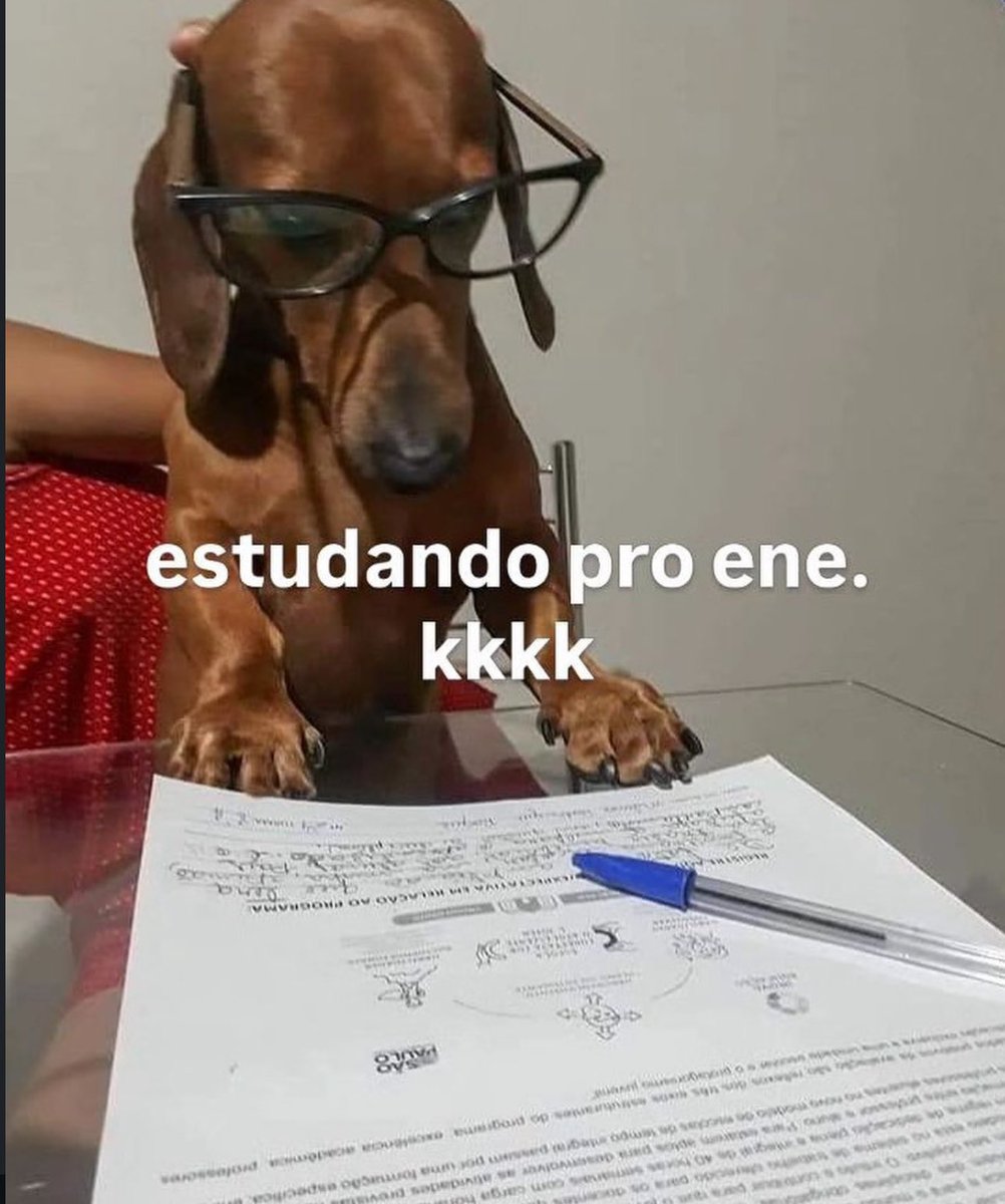 shitpostverdade's tweet photo. https://t.co/Rt9Ealuv5O
