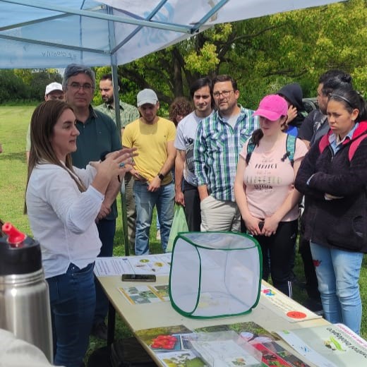 cepave_conicet's tweet image. El Grupo de Ecología de Plagas y Control Biológico del CEPAVE presentó el pasado 10 de octubre de 2024, en la Chacra Experimental MDA Gorina, dos ensayos que se están llevando a cabo en ese marco, destinados a evaluar agentes de control biológico de plagas hortícolas.