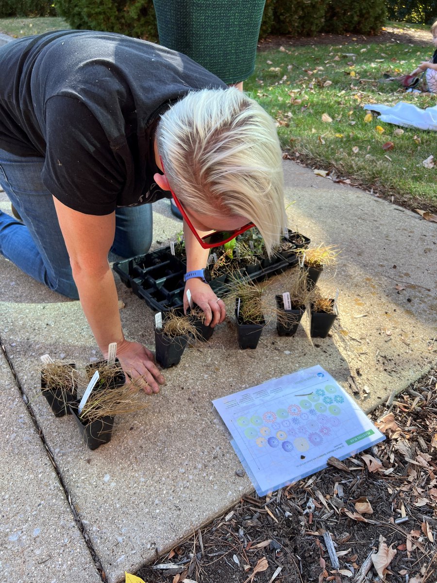 We are excited to have recently won a Re-Wilding Award to create a garden full of native pollinator-friendly plants! As it grows, it will be something for Foundation staff and our (c) space tenants to enjoy when hard at work at the office! 😁🌺🌼🌻🌸🐝🌱🦋