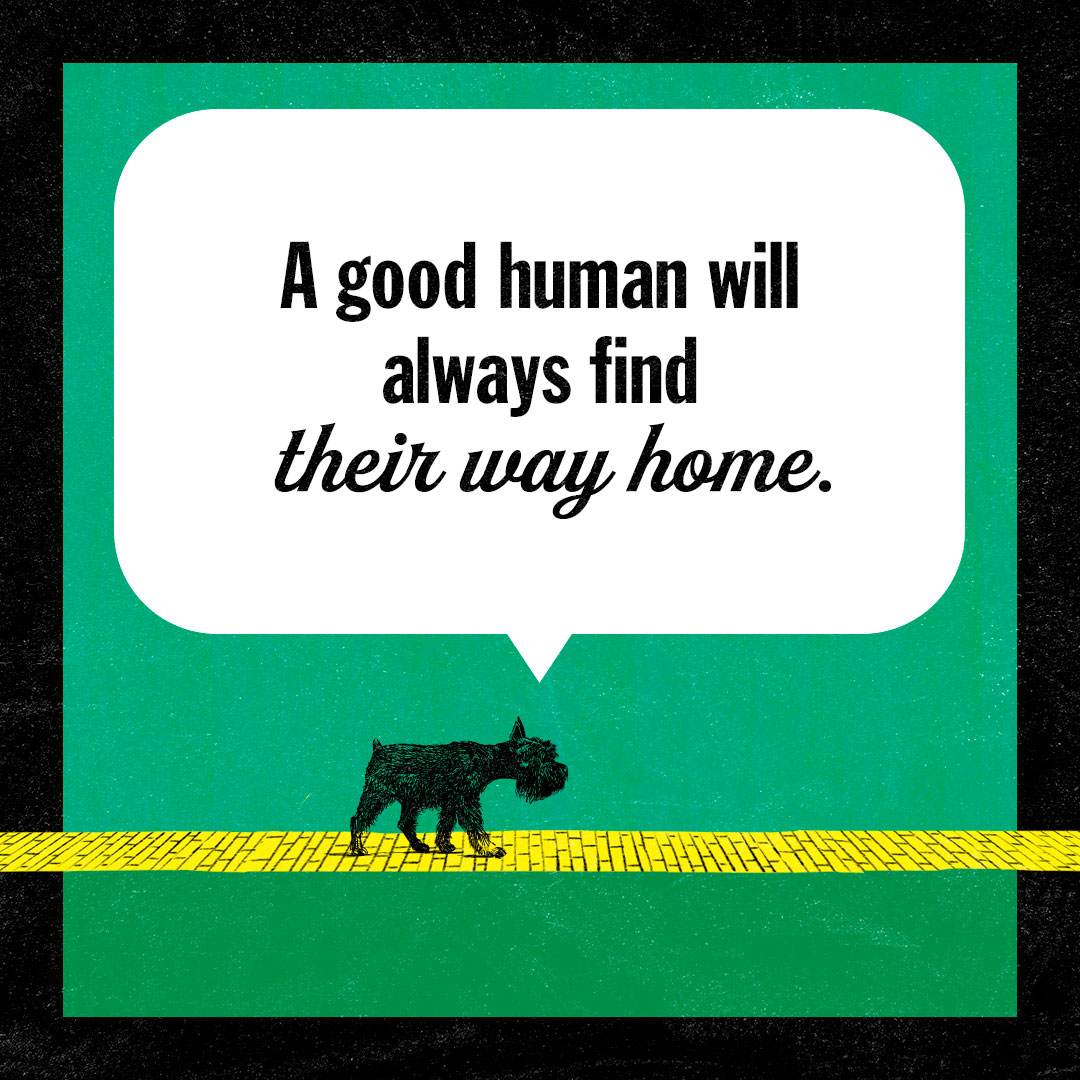 A. J. Hackwith : books for goblins! tweet media