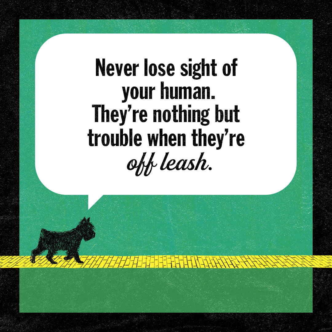 A. J. Hackwith : books for goblins! tweet media