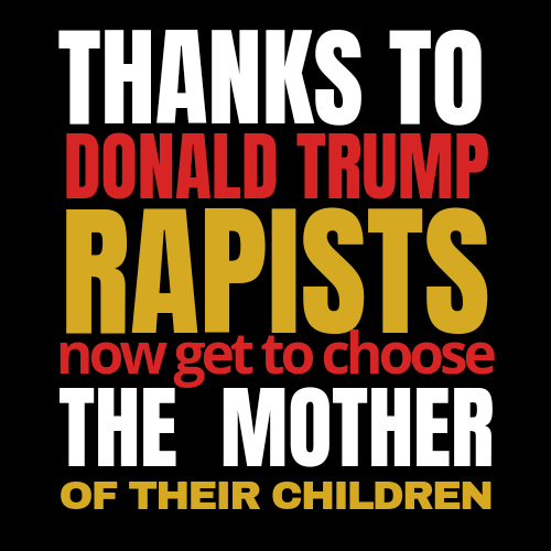 Honest_Trifles's tweet photo. Roe vs Wade Protected ALL women. Tread carefully. Some choices cannot be undone. https://t.co/b8jR6pLHqx