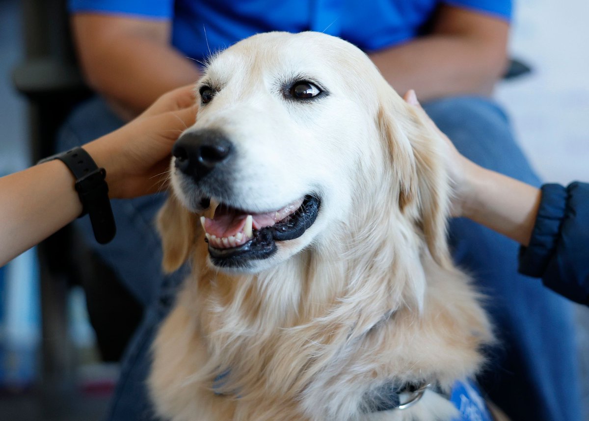 Gem the Therapy Dog recently visited Mark Twain Elementary School to share her im-paw-tant message with students and staff! Studies show that time spent with therapy dogs can help reduce anxiety, lower blood pressure and even alleviate physical pain. (1/2)