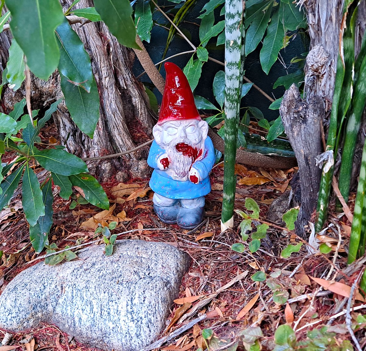 My zombie garden gnome wanted to say "hello".
#zombie #zombies #gnome #garden #decor #yard #halloween #spooky #creepy #spookyseason #cuteness #aww #hello #season #autumn #fall #fun #fyp #foryou #foryourpage #friend #HAHAHA  #funny #toocute #cute #socute #awww