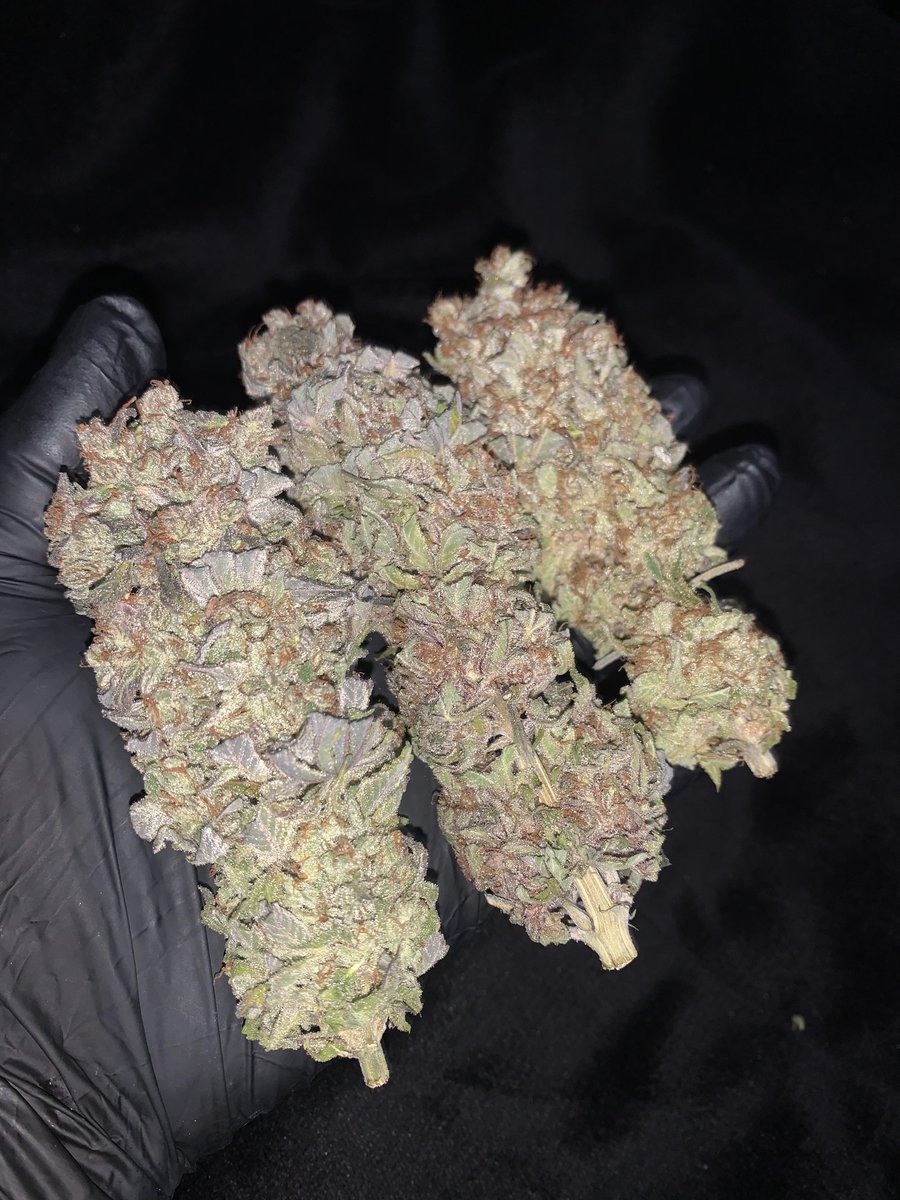 🎁 𝐆𝐈𝐕𝐄𝐀𝐖𝐀𝐘 𝐀𝐋𝐄𝐑𝐓 🎁

Want to grow your collection? Here's your chance 15 Seedsman Seeds. 🌱

1️⃣ Follow <a href="/SeedsmanSeeds/">Seedsman</a>
2️⃣ Retweet this post
3️⃣ Tag a friend

🗓️ The giveaway ends on the 4th of November. The 3️⃣ winners will be randomly chosen and announced on the 5th