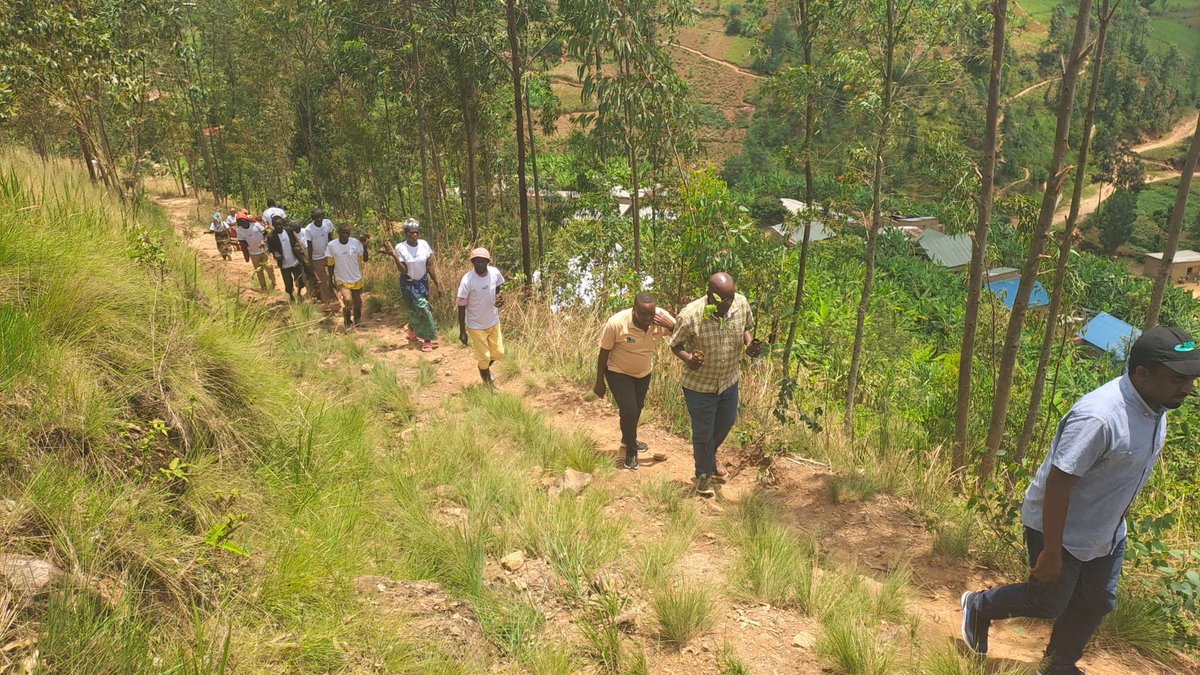 kuwa 23/10/2024, abasaga 470 mu kagari ka Karyango b'umurenge wa Muyongwe bakozwe Umuganda wogutera Ibiti gakondo  kuri 2Ha ,hatewe Imisave,Iminyinya, umwungo ndetse n'imigano y'icyatsi.
 Hatanzwe ibiti by'imbuto 500 bya Avoka na 500 by'indimu zibanguriye ku baturage.