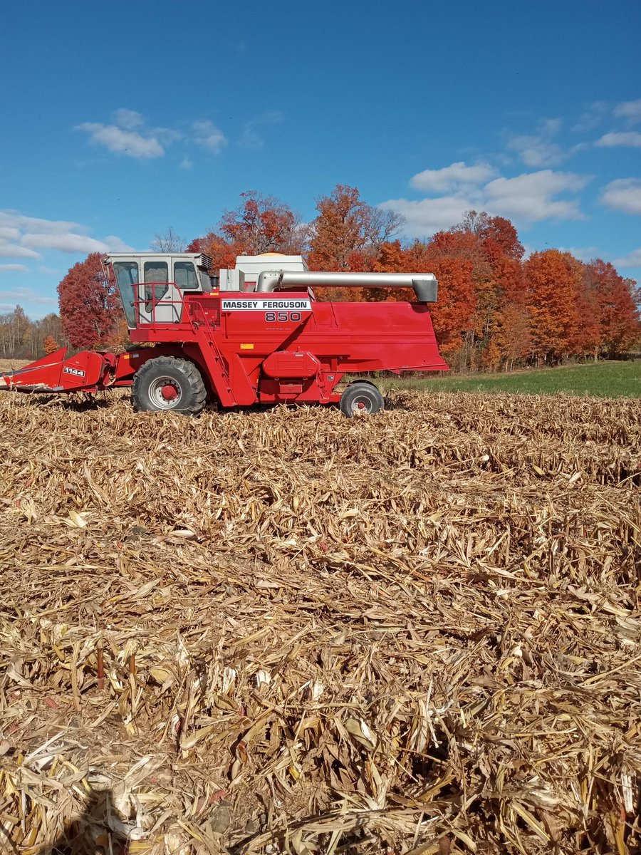 OBaigent's tweet image. Waiting on a wagon and enjoying the fall colors and weather