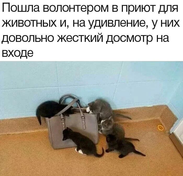 Cotizm1's tweet photo. https://t.co/zbnhp3AcC6