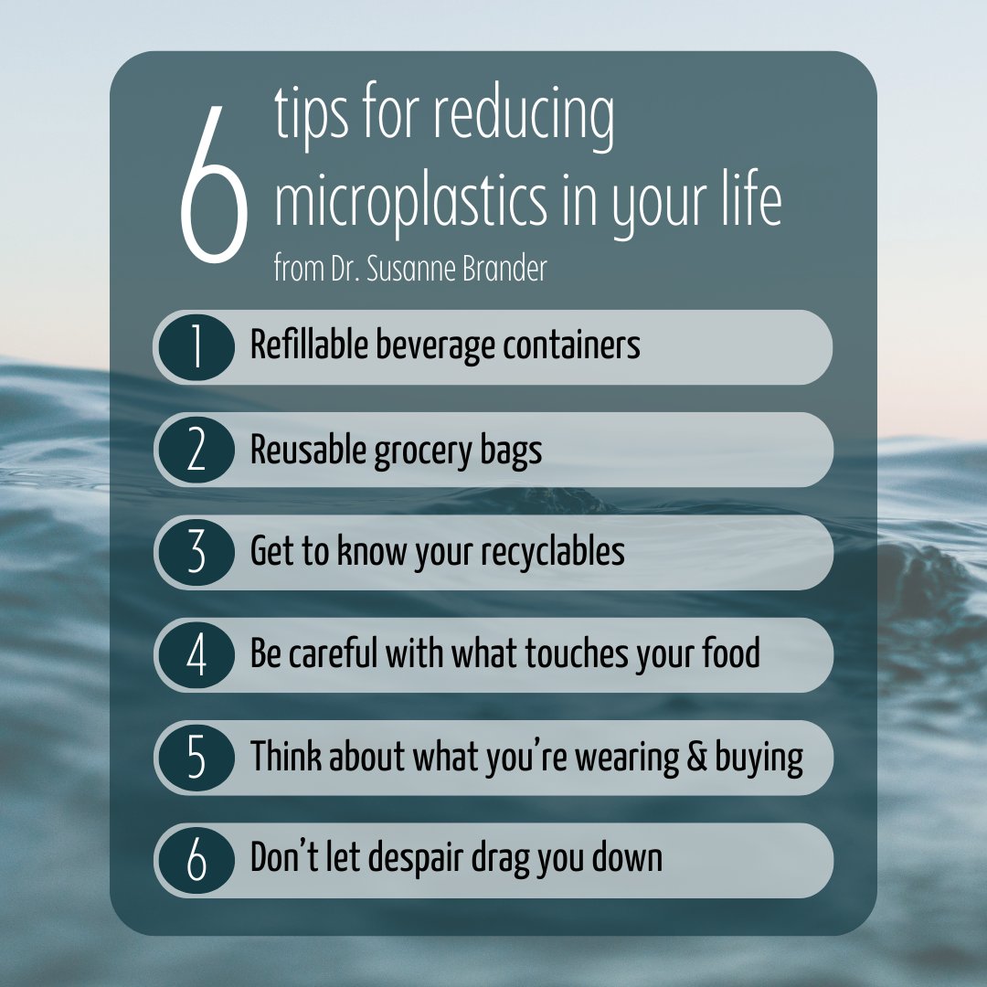pnwmicroplastics tweet media