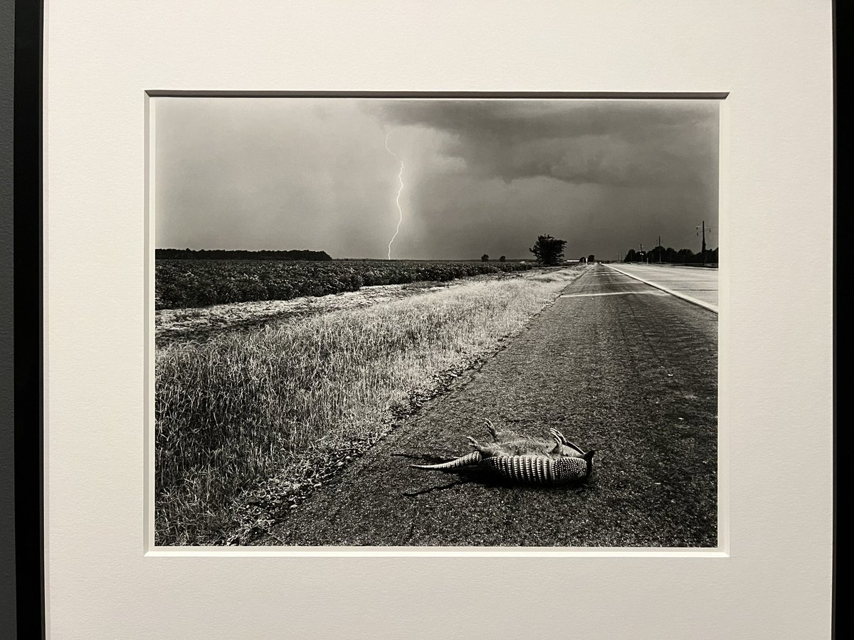 thesoggyblanket's tweet photo. just went and saw some Baldwin Lee photos wow truly a master of the craft. if you don’t know, you should https://t.co/5v80xhYtbP