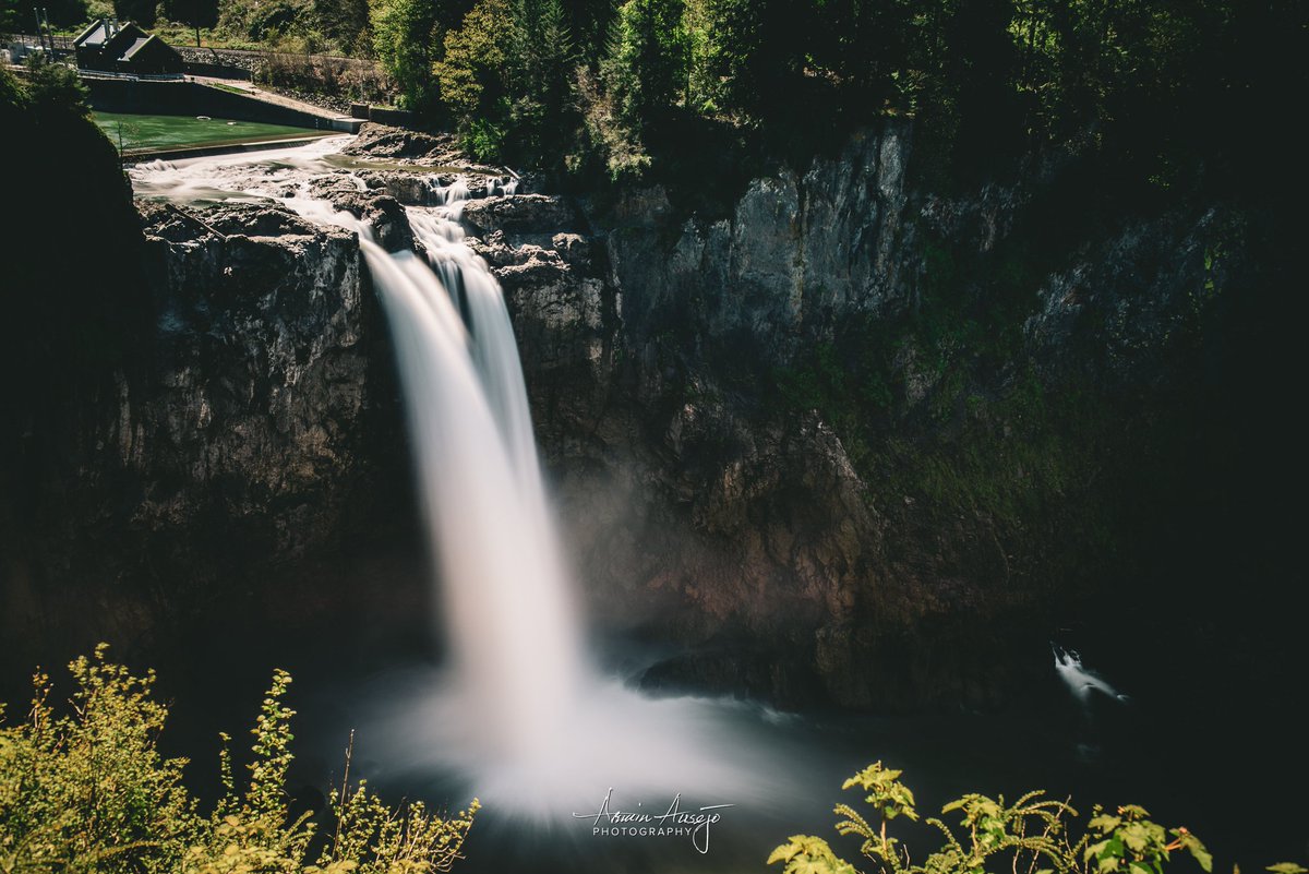 Armin H. Ausejo tweet media