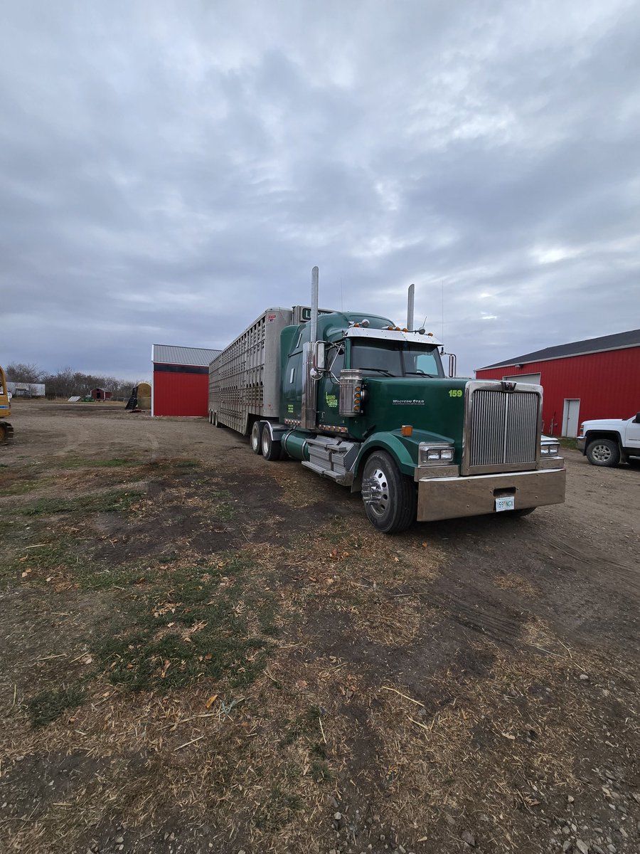 Wade Olynyk tweet media