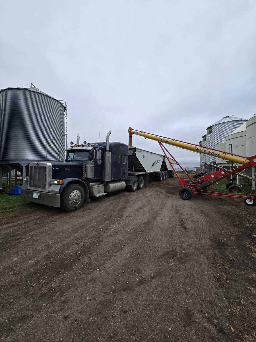 Wade Olynyk tweet media