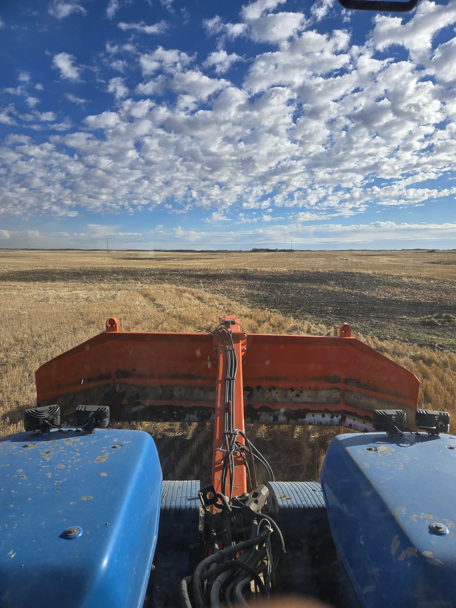 Wade Olynyk tweet media