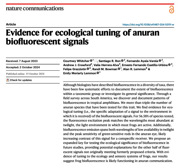 Santi Ron tweet media