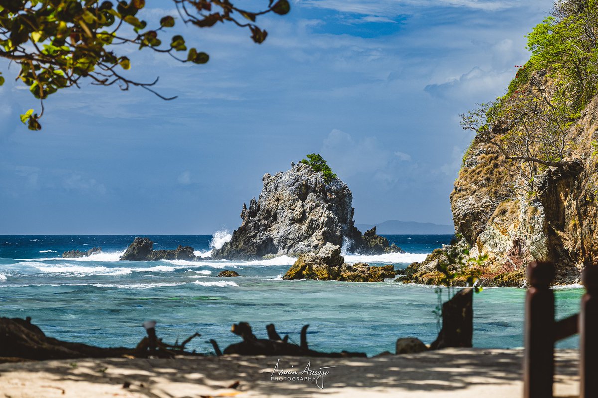 Armin H. Ausejo tweet media