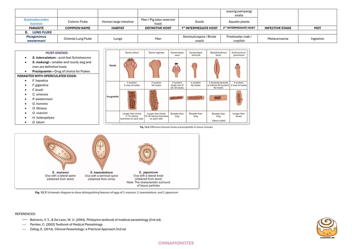 cinnam0nstudies's tweet image. TAPEWORM &amp;amp; FLUKE