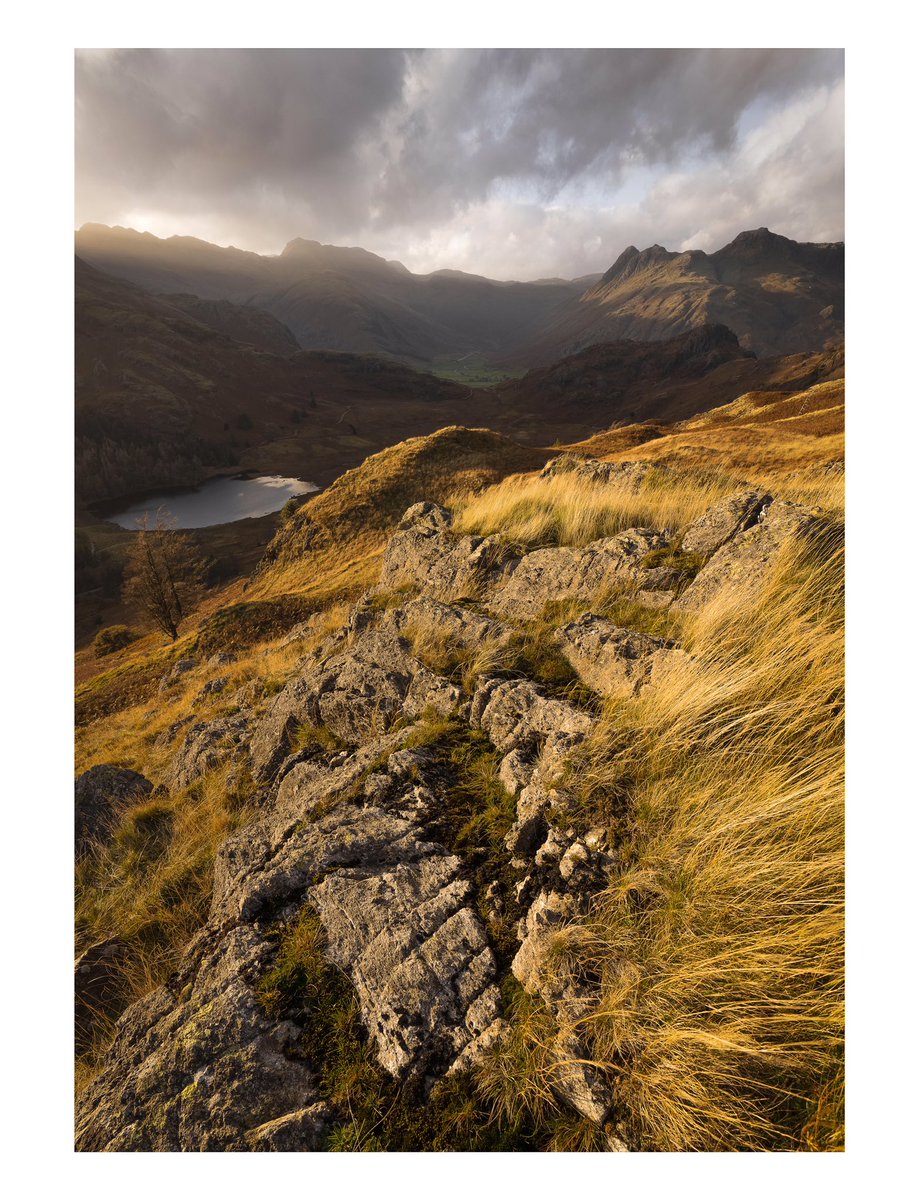 Langdale Autumnal Gold 🍂🍂
<a href="/OPOTY/">Outdoor Photography</a> <a href="/TGOMagazine/">The Great Outdoors</a> <a href="/SonyAlpha/">Sony | Alpha</a> @Benro_UK <a href="/kasefiltersuk/">Kase Filters UK</a> <a href="/Lowepro/">Lowepro</a> #autumn2024 #lakedistrict #landscapephotography