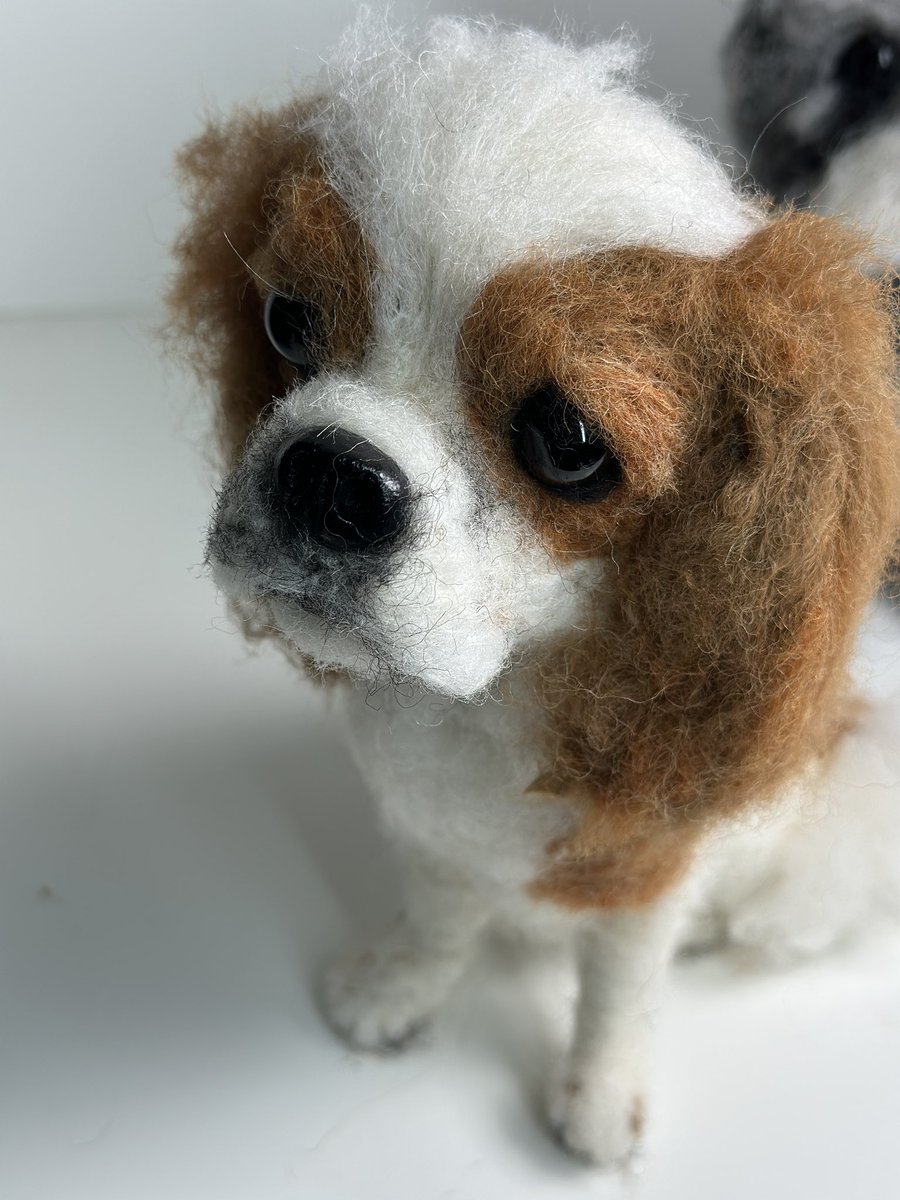 ffinlaysonart's tweet photo. A close up of a needle felted King Charles Cavalier Spaniel https://t.co/KZMfy0ZDBo