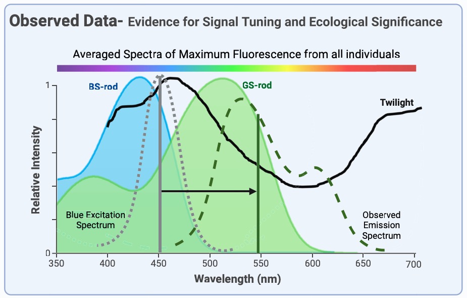 Santi Ron tweet media
