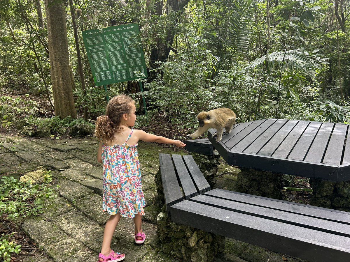 Katy__Perry's tweet image. 🙈🙉🙊. Never ever will I get tired of visiting this beautiful island. #Barbados