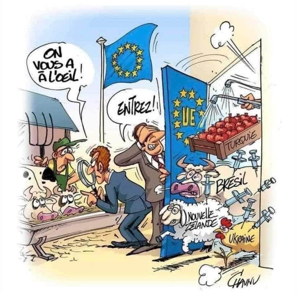 Une simple image en dit parfois plus que tous les commentaires !
#onmarchesurlatete