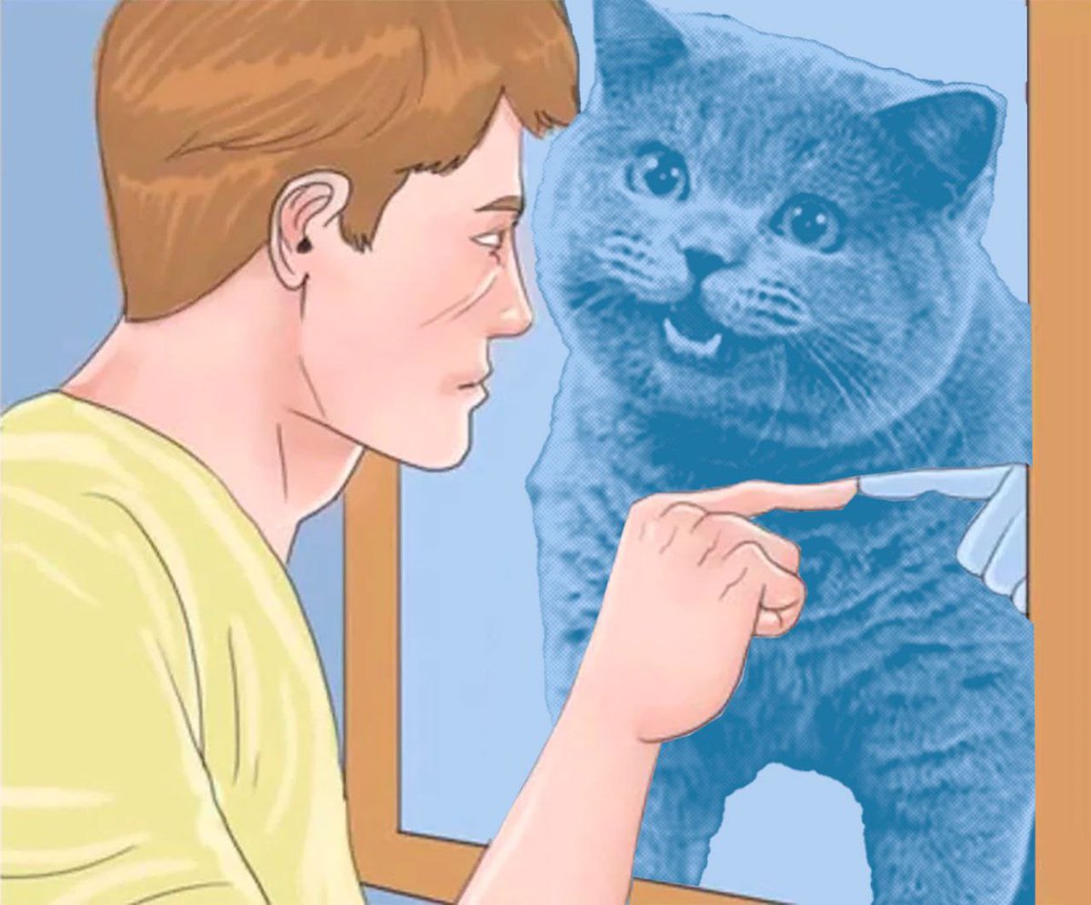 GM, I am the next BILLION MC GEM. 

I am the CHEEZIEST of them ALL $CHEEZ