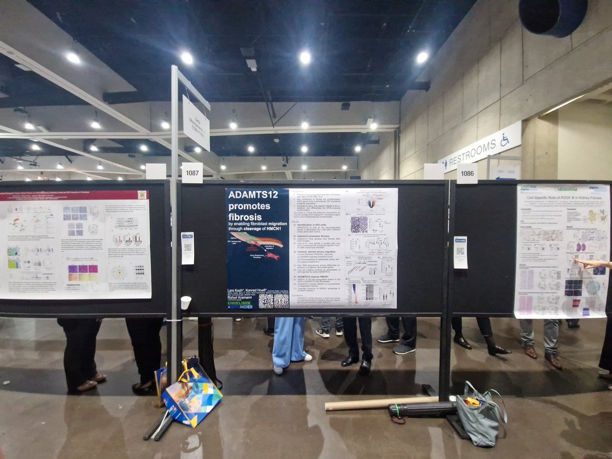 Lars Koch (@lars_k0ch) on Twitter photo Go big or go home.
(At least in text size of your poster. 😉)
#KidneyWk #BetterPoster <a href="/ASNKidney/">American Society of Nephrology</a> <a href="/mikemorrison/">Mike Morrison</a> Go big or go home.
(At least in text size of your poster. 😉)
#KidneyWk #BetterPoster <a href="/ASNKidney/">American Society of Nephrology</a> <a href="/mikemorrison/">Mike Morrison</a>