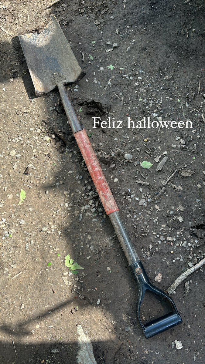 Porque no levanto ni sospechas en ig? 

Mis historias: