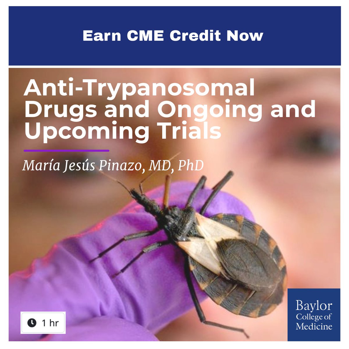 BCM Clinician Resources (@bcmcme) on Twitter photo Join us on Nov 1st via Zoom 🖥️to watch Dr. <a href="/mjpinazo/">Maria-Jesus Pinazo</a> from <a href="/DNDi/">Drugs for Neglected Diseases initiative</a> present on effective treatment regimens for Chagas Disease.
⌚️More info on how to watch➡️bit.ly/3NAjjye
<a href="/BCM_TropMed/">BCM_TropMed</a> <a href="/EvaClarkMD/">Eva Clark</a> <a href="/JillWeather/">Jill Weatherhead, MD, PhD</a> <a href="/ASTMH/">ASTMH</a> <a href="/Rojelio/">Rojelio Mejia, MD</a> <a href="/WiParasitology/">Women In Parasitology</a> <a href="/Women_in_ID/">Women In Infectious Diseases (WIID)</a> <a href="/DNDi_Espanol/">DNDi_Español</a> Join us on Nov 1st via Zoom 🖥️to watch Dr. <a href="/mjpinazo/">Maria-Jesus Pinazo</a> from <a href="/DNDi/">Drugs for Neglected Diseases initiative</a> present on effective treatment regimens for Chagas Disease.
⌚️More info on how to watch➡️bit.ly/3NAjjye
<a href="/BCM_TropMed/">BCM_TropMed</a> <a href="/EvaClarkMD/">Eva Clark</a> <a href="/JillWeather/">Jill Weatherhead, MD, PhD</a> <a href="/ASTMH/">ASTMH</a> <a href="/Rojelio/">Rojelio Mejia, MD</a> <a href="/WiParasitology/">Women In Parasitology</a> <a href="/Women_in_ID/">Women In Infectious Diseases (WIID)</a> <a href="/DNDi_Espanol/">DNDi_Español</a>