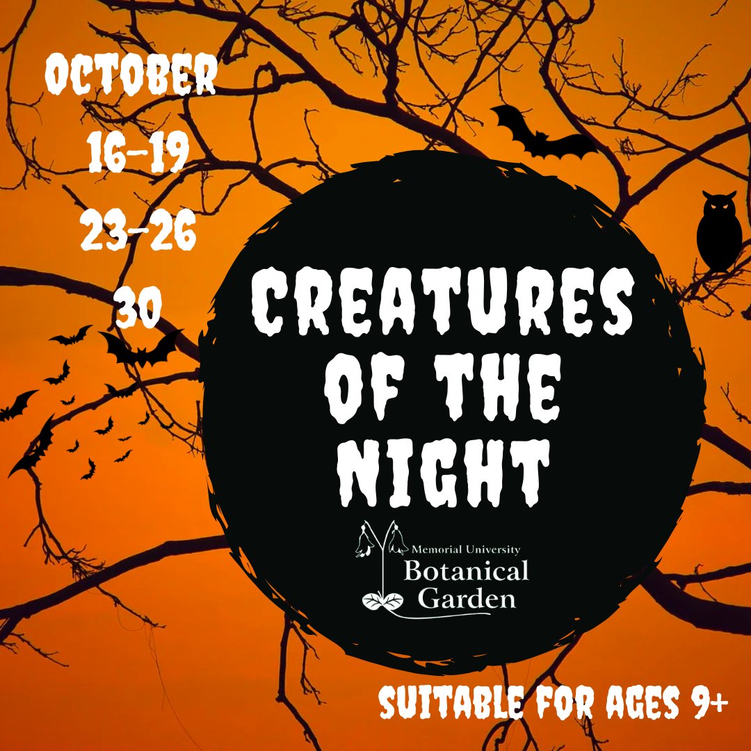 Memorial University Botanical Garden (@munbotgarden) on Twitter photo Still a few spaces available for our Creatures of the Night after dark nature walk on Friday and Saturday. Learn about the history of Hallowe'en and some local folklore!
Recommended for ages 9 and up.
Tickets: munbg.online.red61.ca/event/314:53/ Still a few spaces available for our Creatures of the Night after dark nature walk on Friday and Saturday. Learn about the history of Hallowe'en and some local folklore!
Recommended for ages 9 and up.
Tickets: munbg.online.red61.ca/event/314:53/