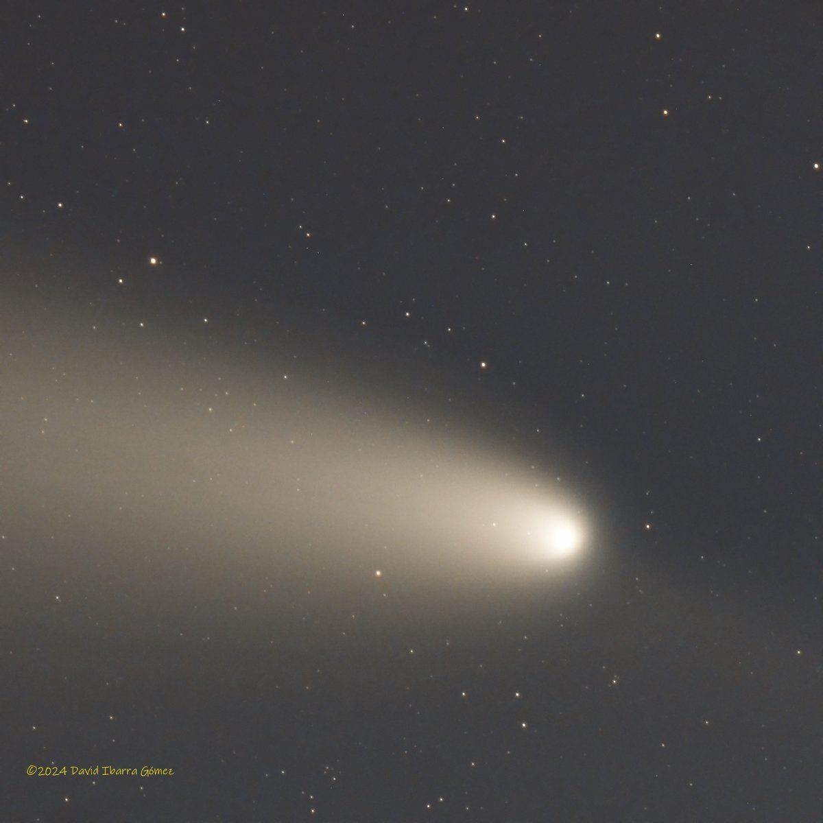David_Barracuda's tweet photo. Detalle del C/2023 A3 Tsuchinshan-Atlas

18 x 5s,  Àger (19/10/2024)

#astrophotography 
#astronomy
#cielosESA https://t.co/4ISHfCCElZ