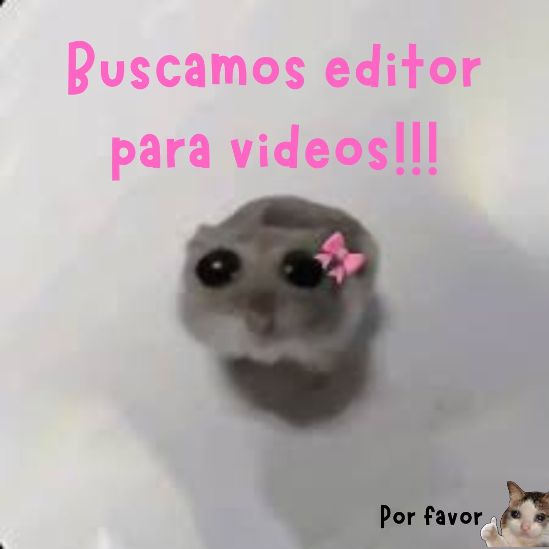 🎀🩷 Sakuuh🩷 🎀 tweet media