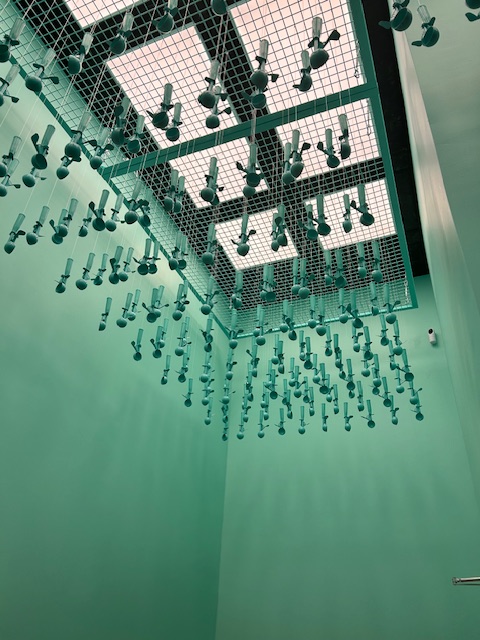 So what do you do in Miami before you go to the Taylor Swift concert? You go to the Museum of Ice Cream, of course! What's your favorite flavor?? (Mine's mint chocolate chip!)
#MuseumOfIceCream #TaylorSwift #WorkLifeBalance