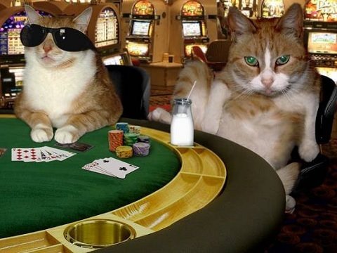 <a href="/meechie/"></a> we're always up, at the world's greatest $casino