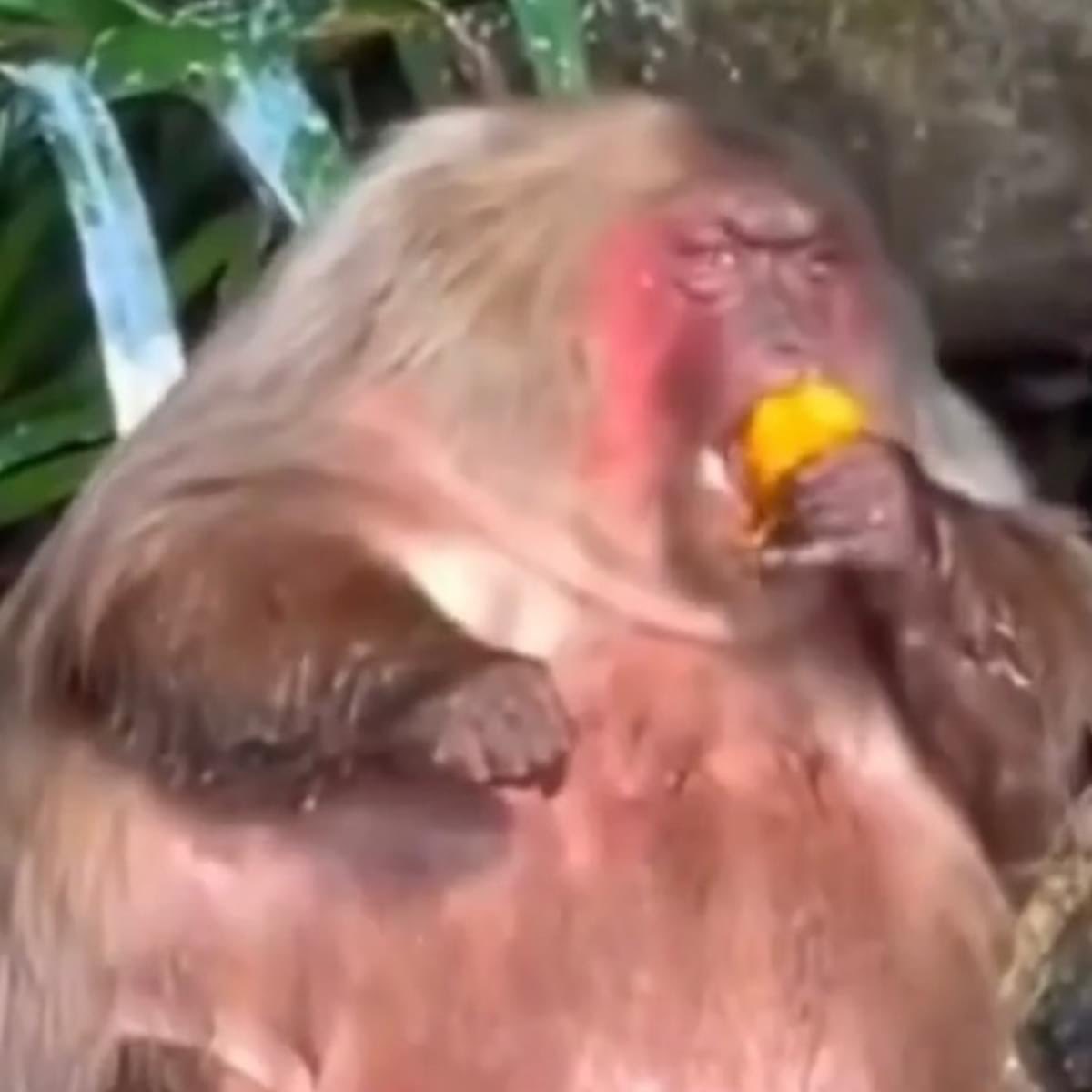 we made a playlist for you full of artists we admire<3 you know where to find it

cover art texture / website animation by the immensely talented @omyapfer