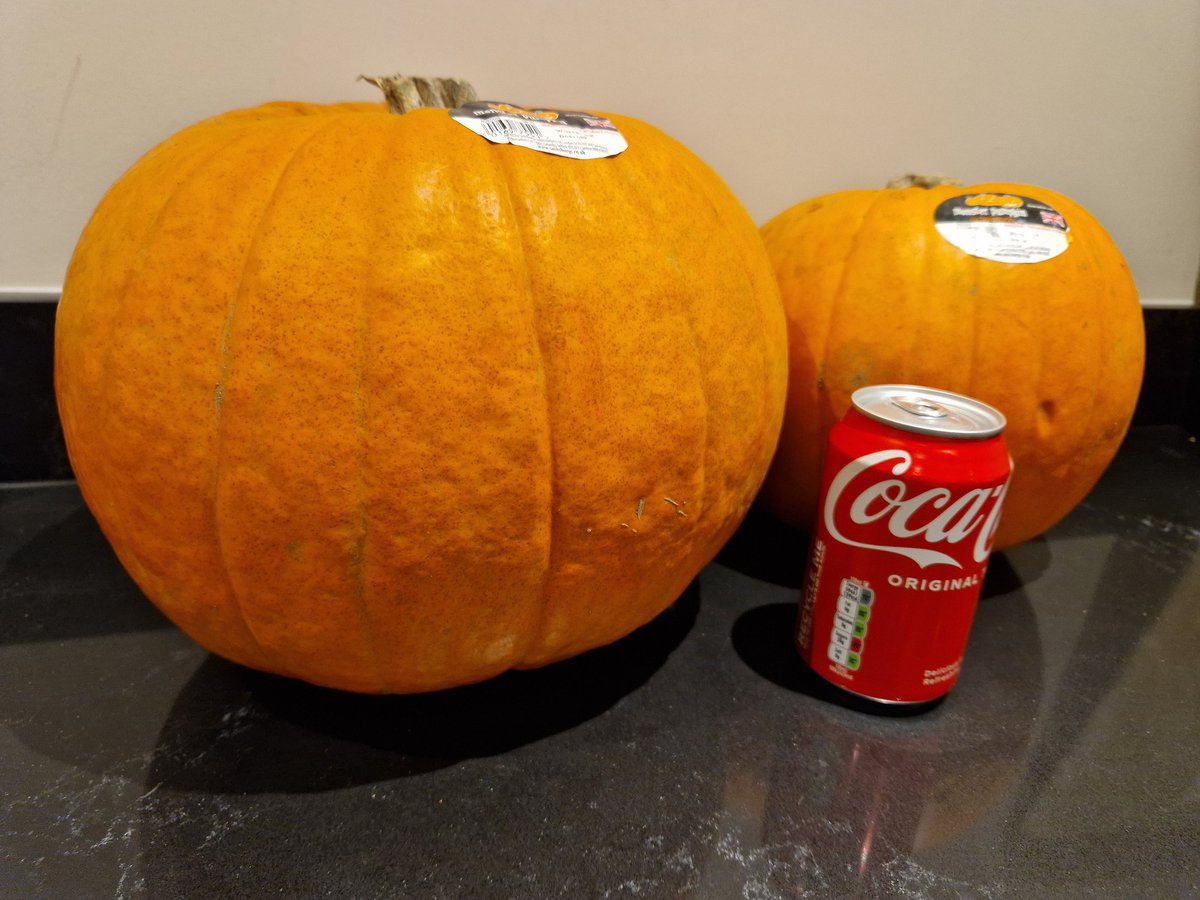 ChudsterXS's tweet photo. @sainsburys You need to give your "monster pumpkin" choosers a tape measure for deliveries! 🤣 One is admittedly a monster, but the other one would be more at home in the yellow melon aisle! 😉 Can of coke for scale... https://t.co/IYOQlXl0ss